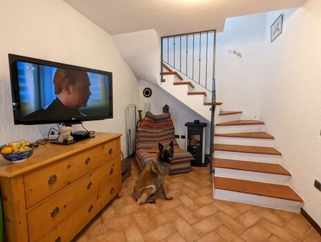 UG mit Kamin, SAT-TV und Sofa