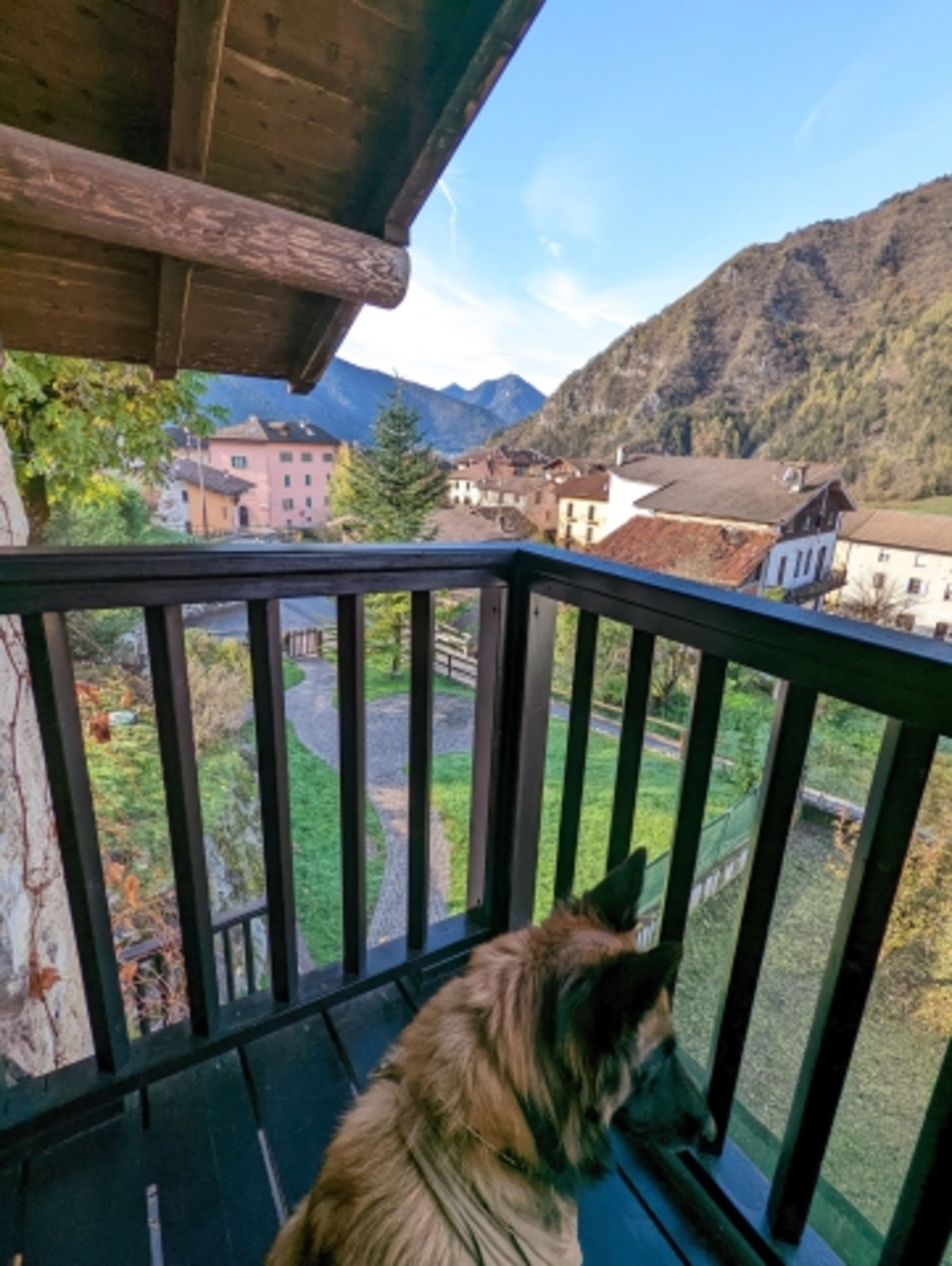 Blick vom Balkon