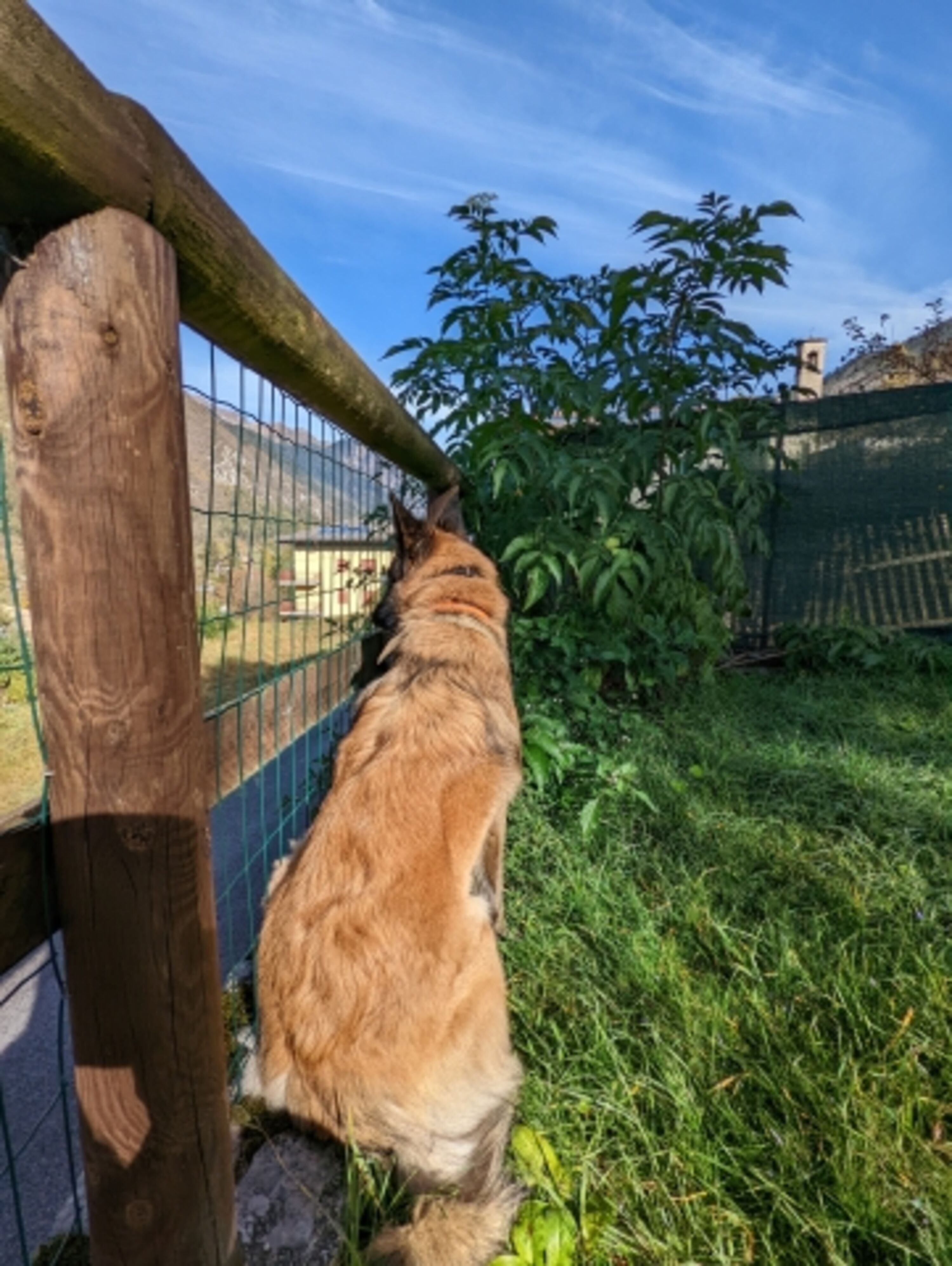 Blick vom Garten