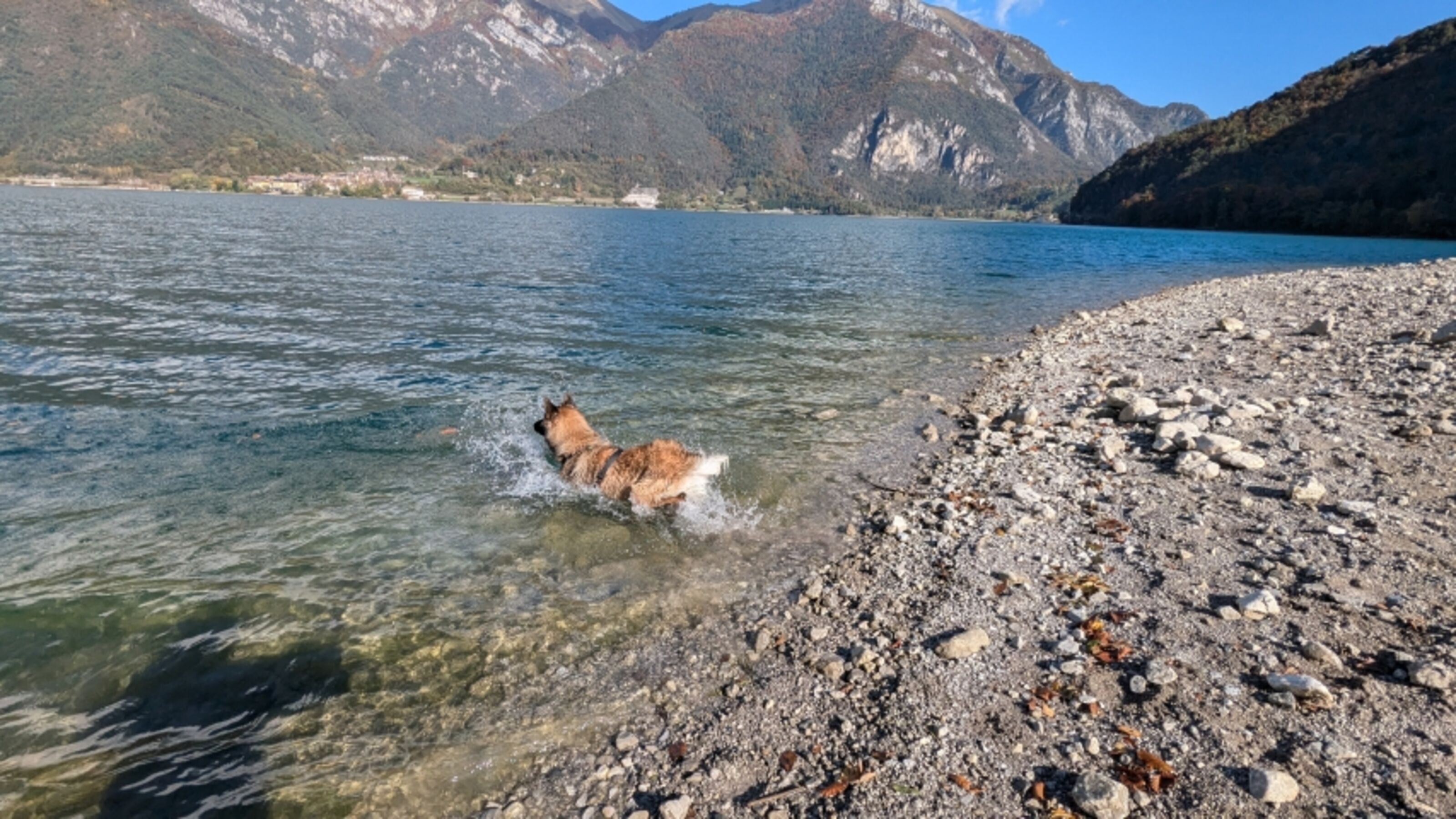 Hundestrand in Pur di Ledro
