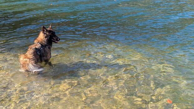 Hundestrand in Pur di Ledro