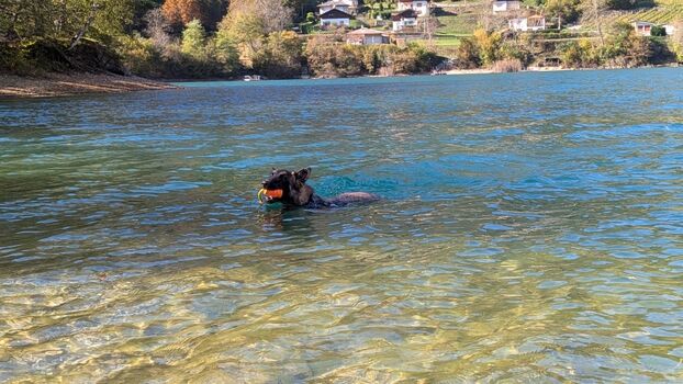 Hundestrand in Pur di Ledro