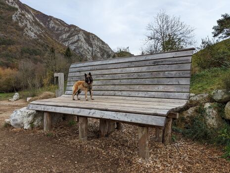 Hunde sind herzlich willkommen