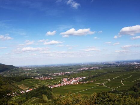 Blick vom nahegelegenen Slevogtfelsen ins Rheintal
