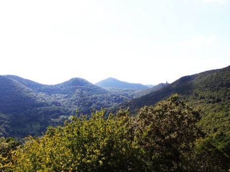 Blick in das Tal in dem das Ferienhaus liegt von Ruine Neukastel