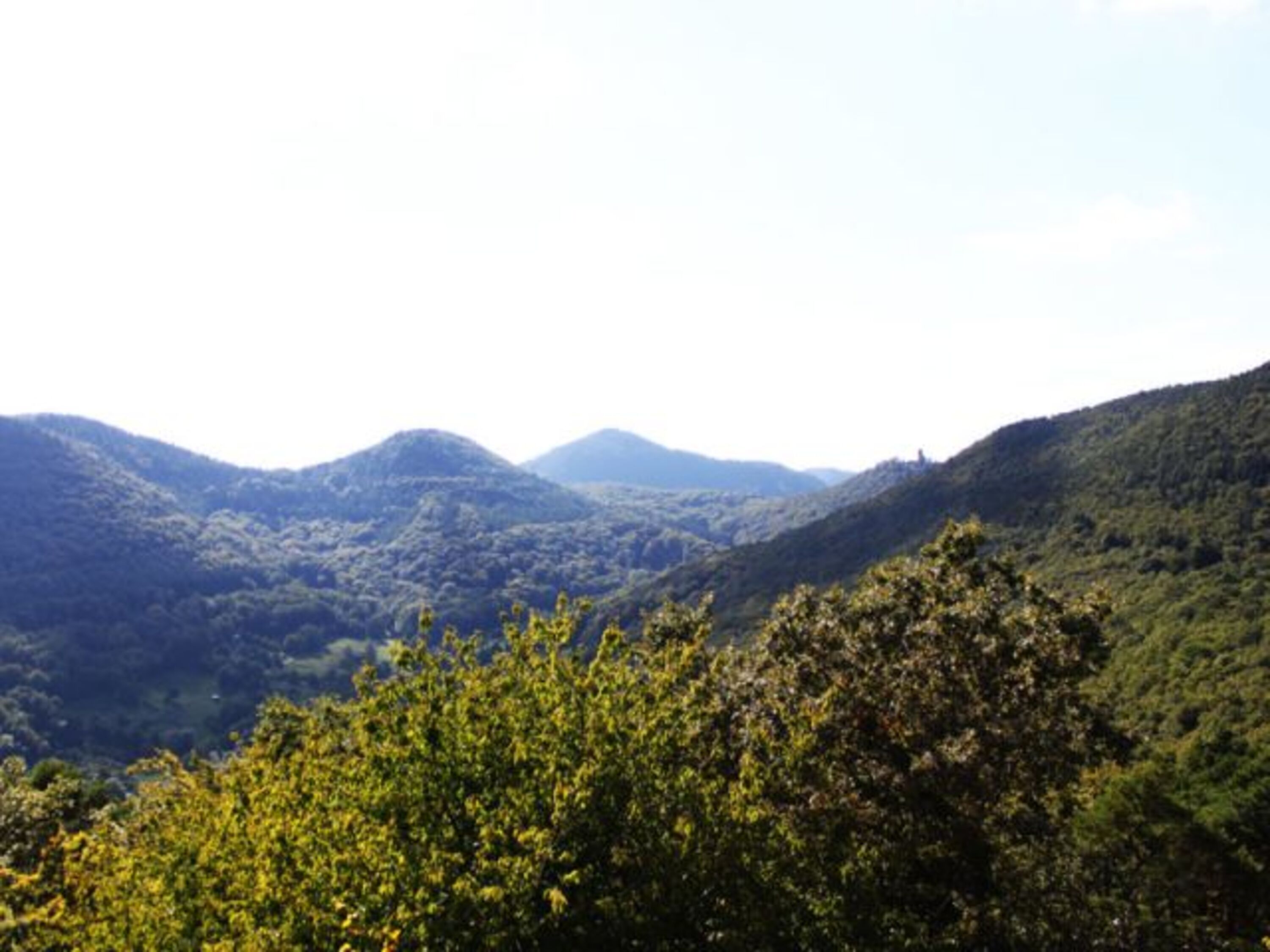 Blick in das Tal in dem das Ferienhaus liegt von Ruine Neukastel