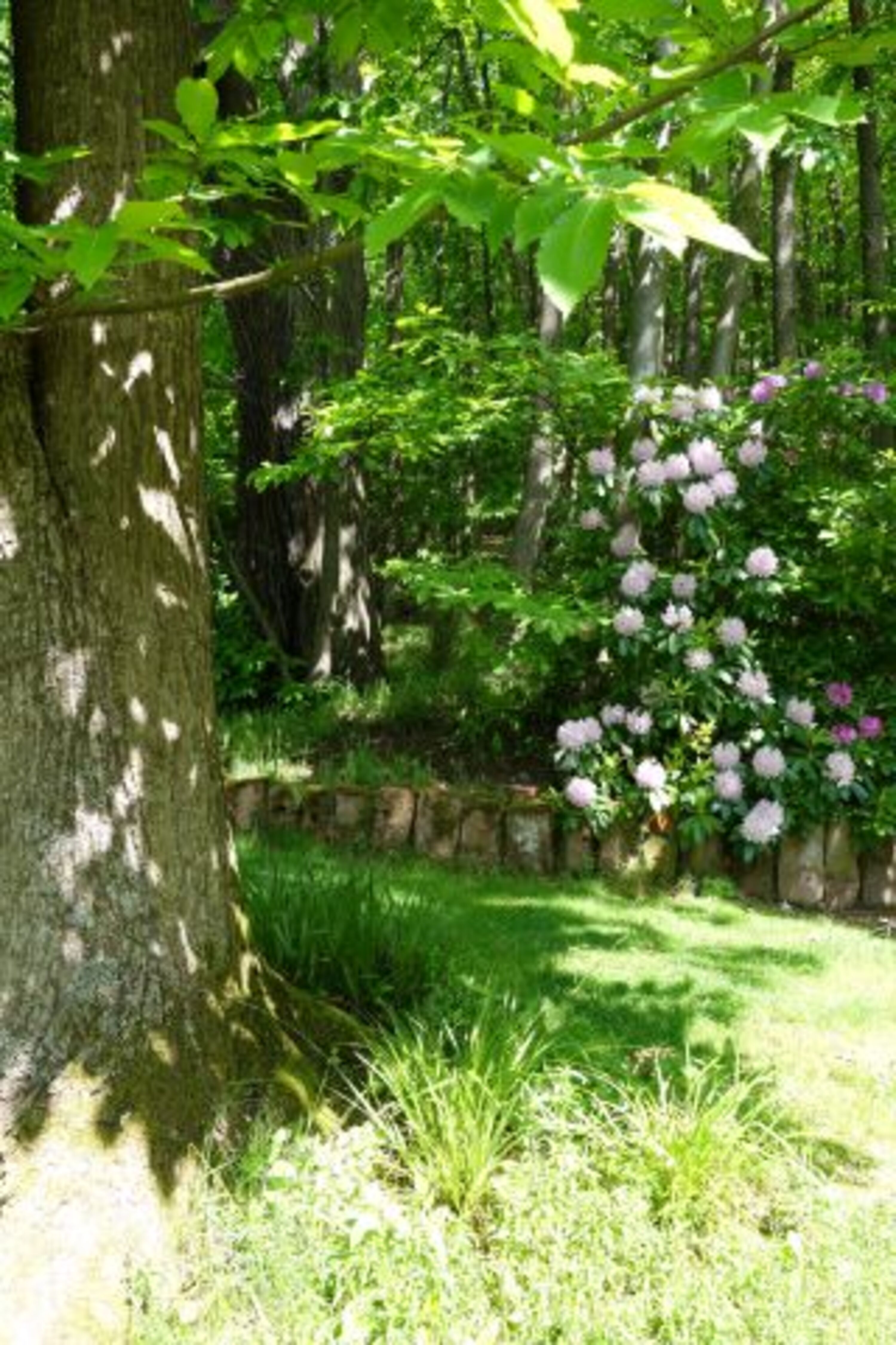 Der Garten