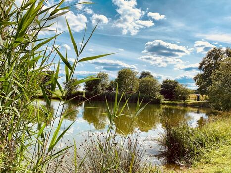 Badesee ca. 15 Min. fußläufig - Planschen für alle!