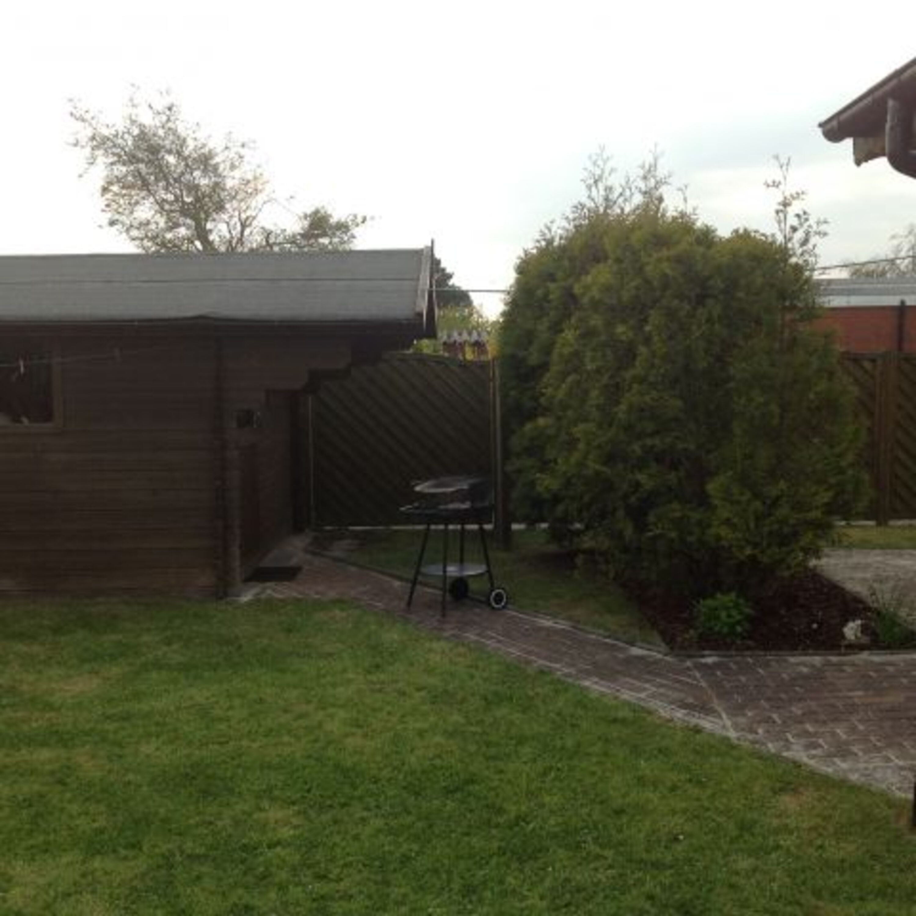 Blick in den Garten