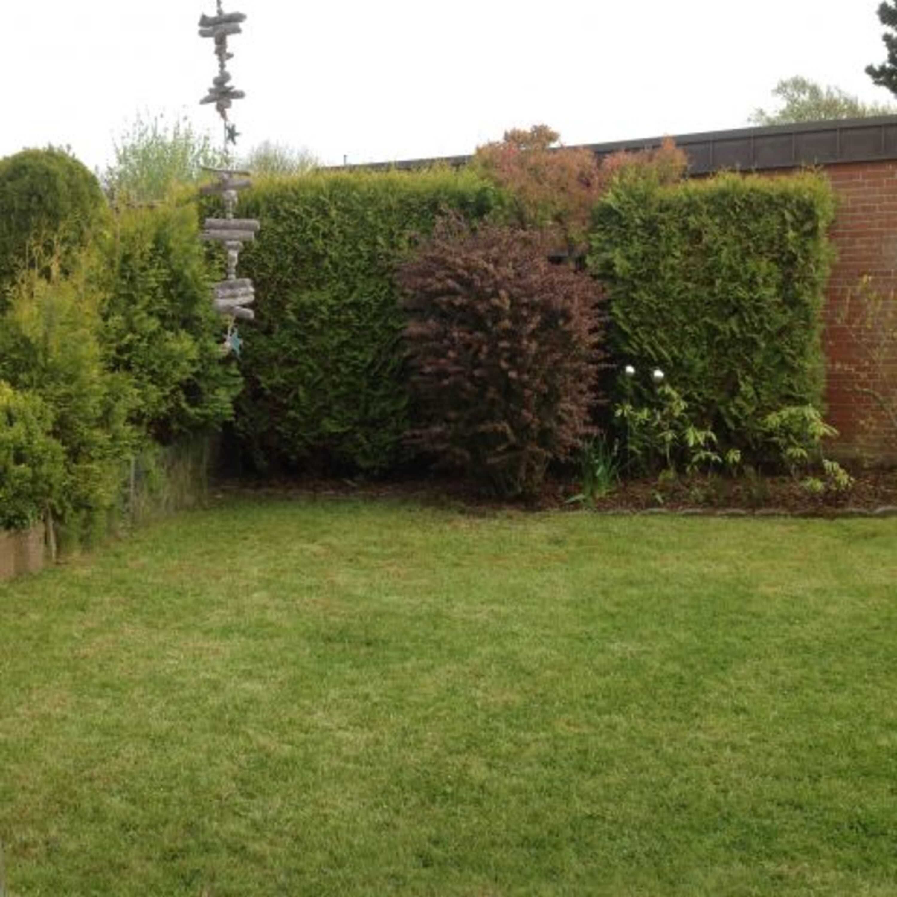 Blick in den Garten