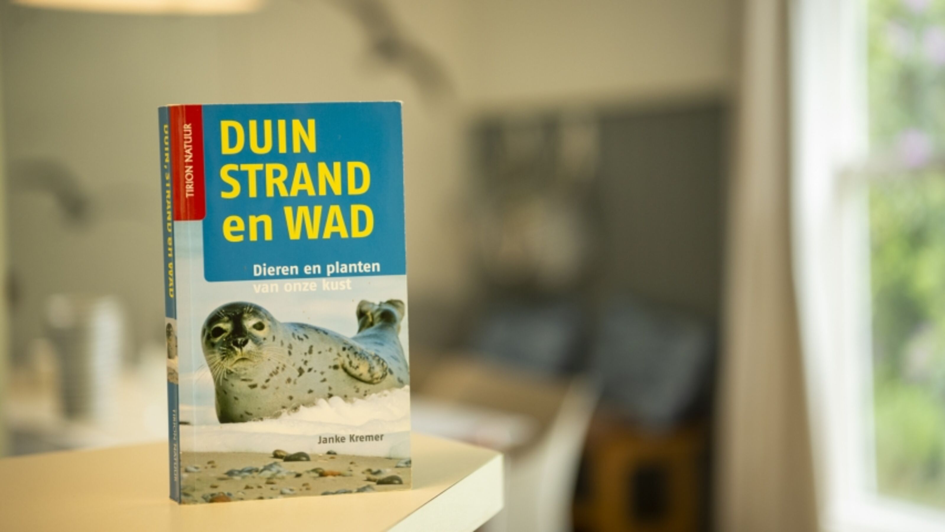 Bild 18