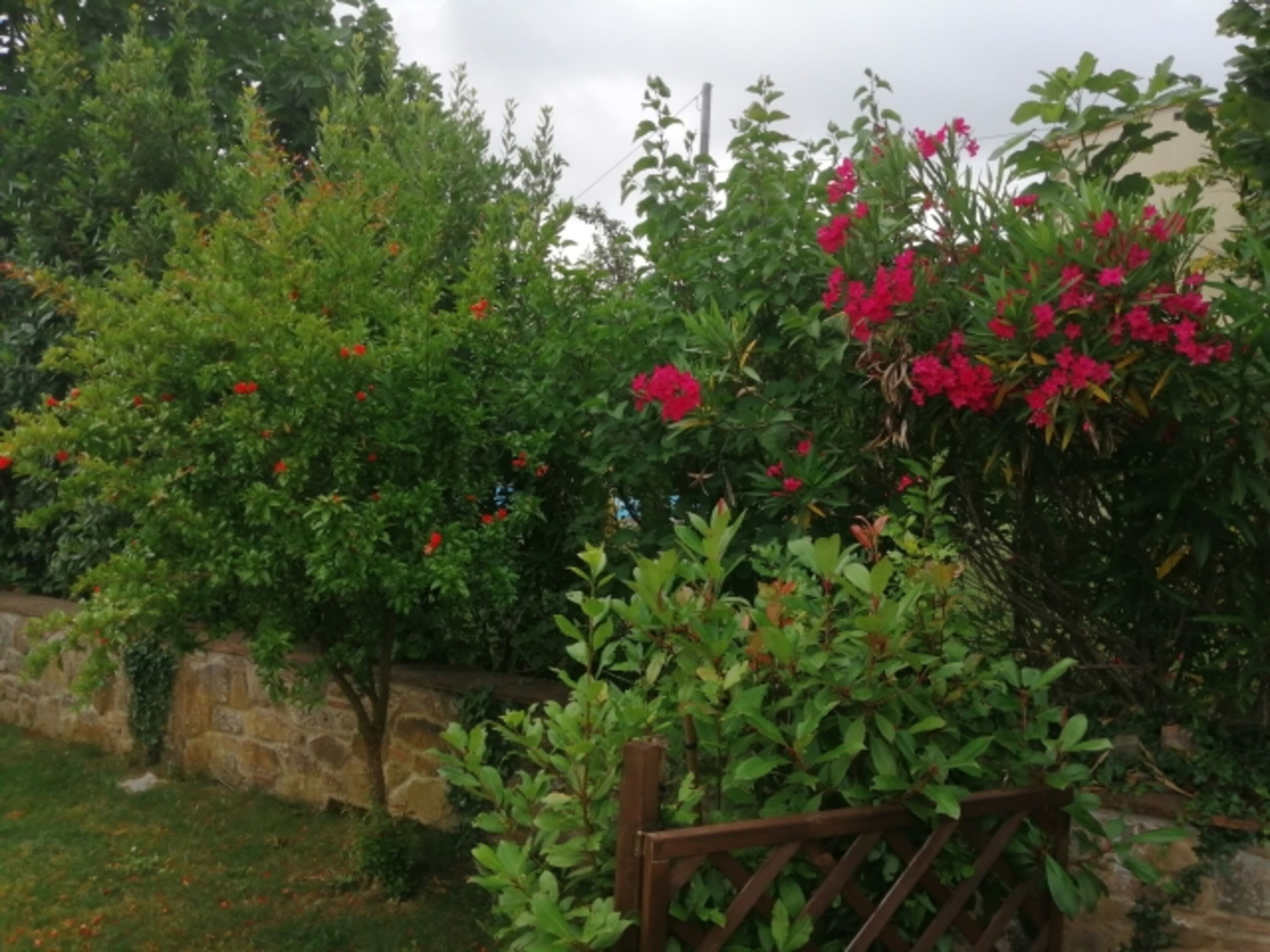 unser Garten