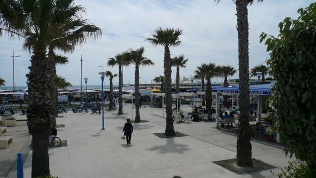 Markt in St. Pierre la Mer