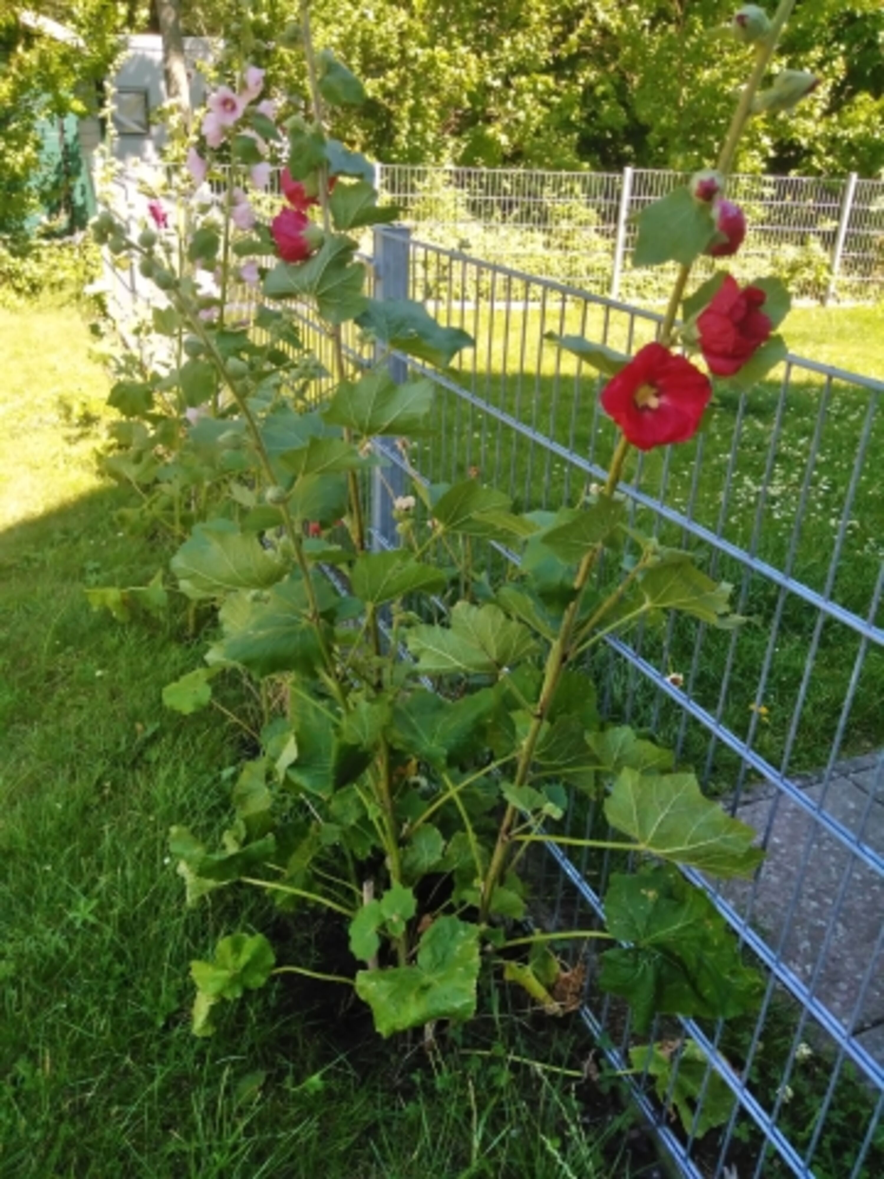 Bild 6