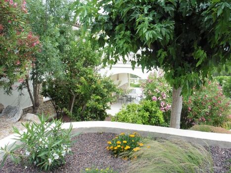 in einem Teil des Gartens ...