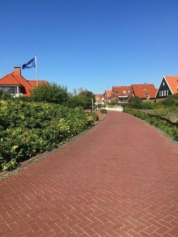 Kurzer Weg zur Hundewiese