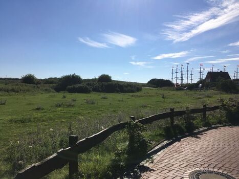 Die grüne Hundewiese - hier darf Ihr Hund frei laufen.