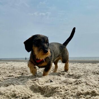 Herzlich willkommen auf Norderney 