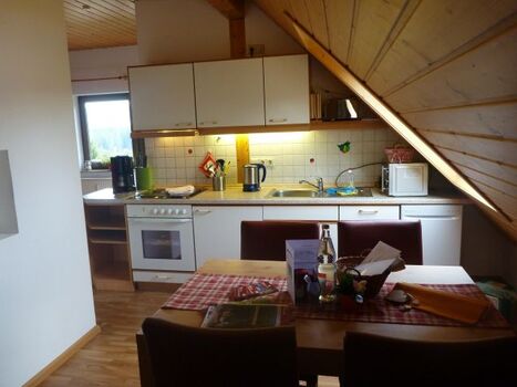 Küche und Essplatz Dachsburg