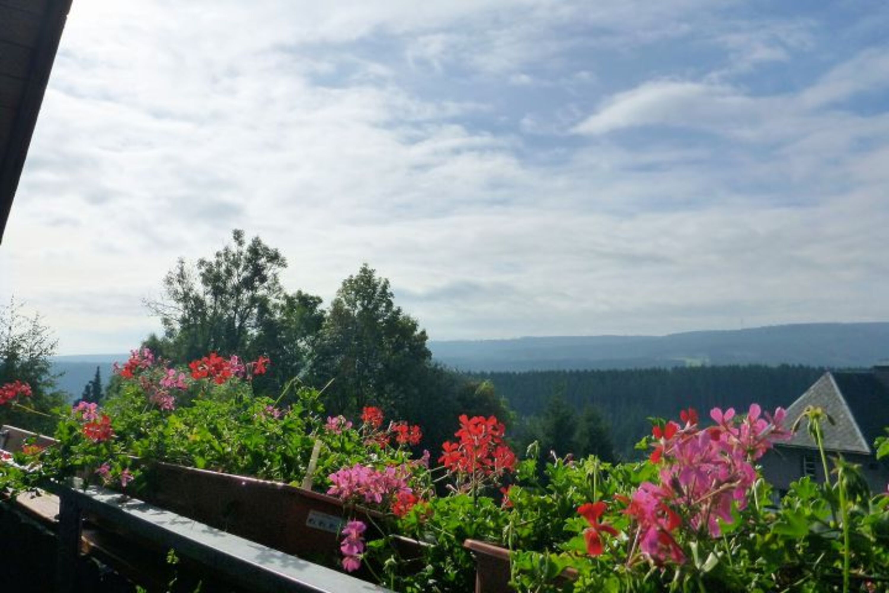 Ausblick 