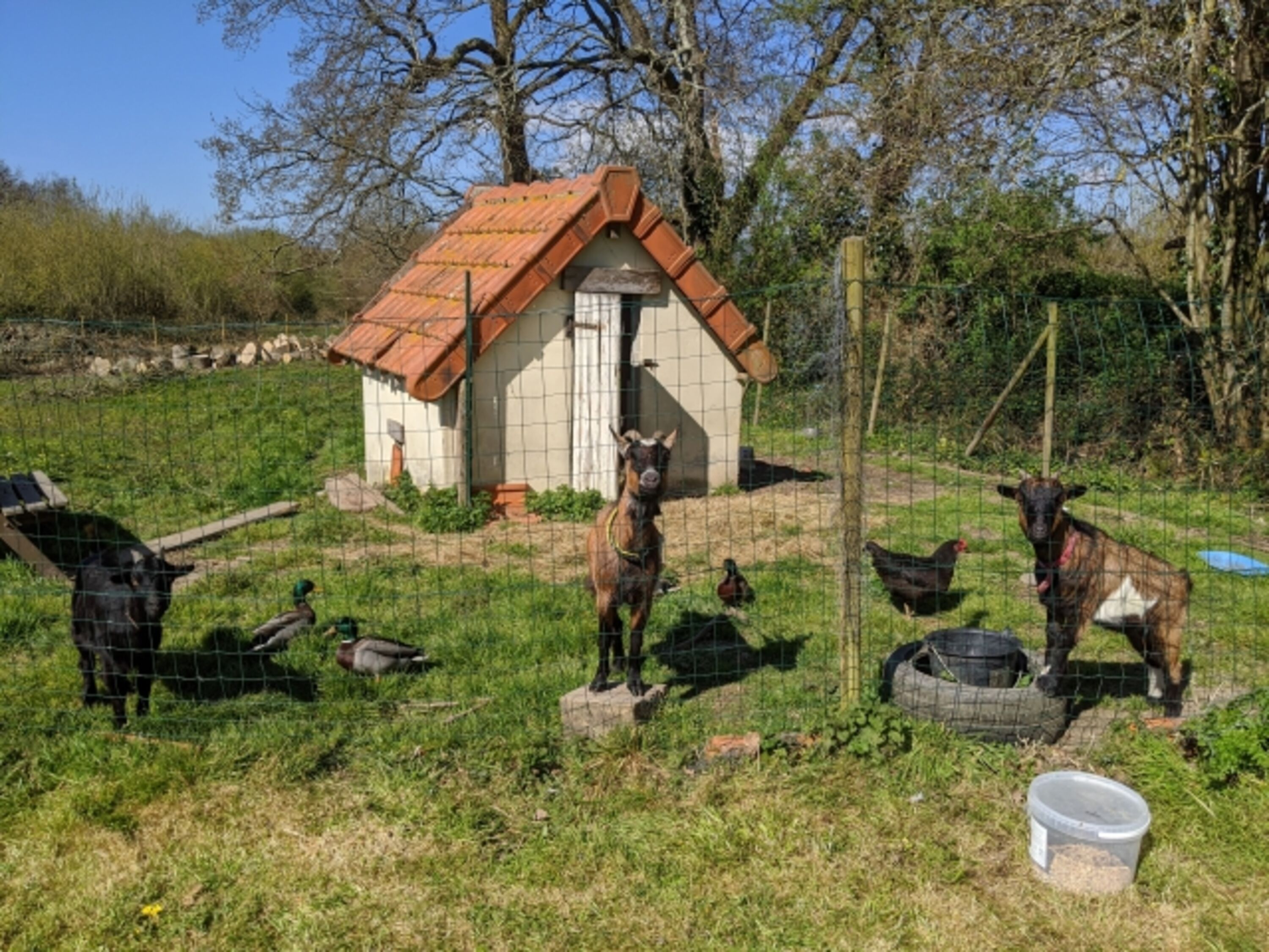 Bild 18