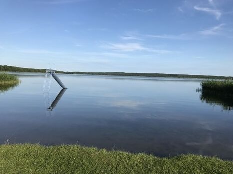 Labussee- Strand mit Hundebadestelle