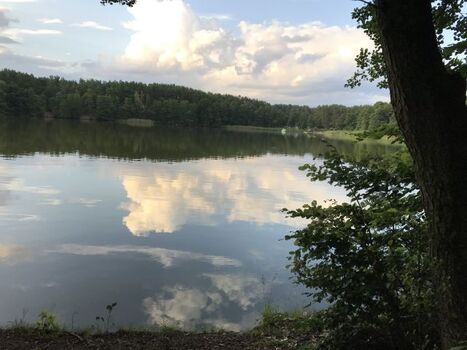 Die Jamel - fußläufig erreichbar 