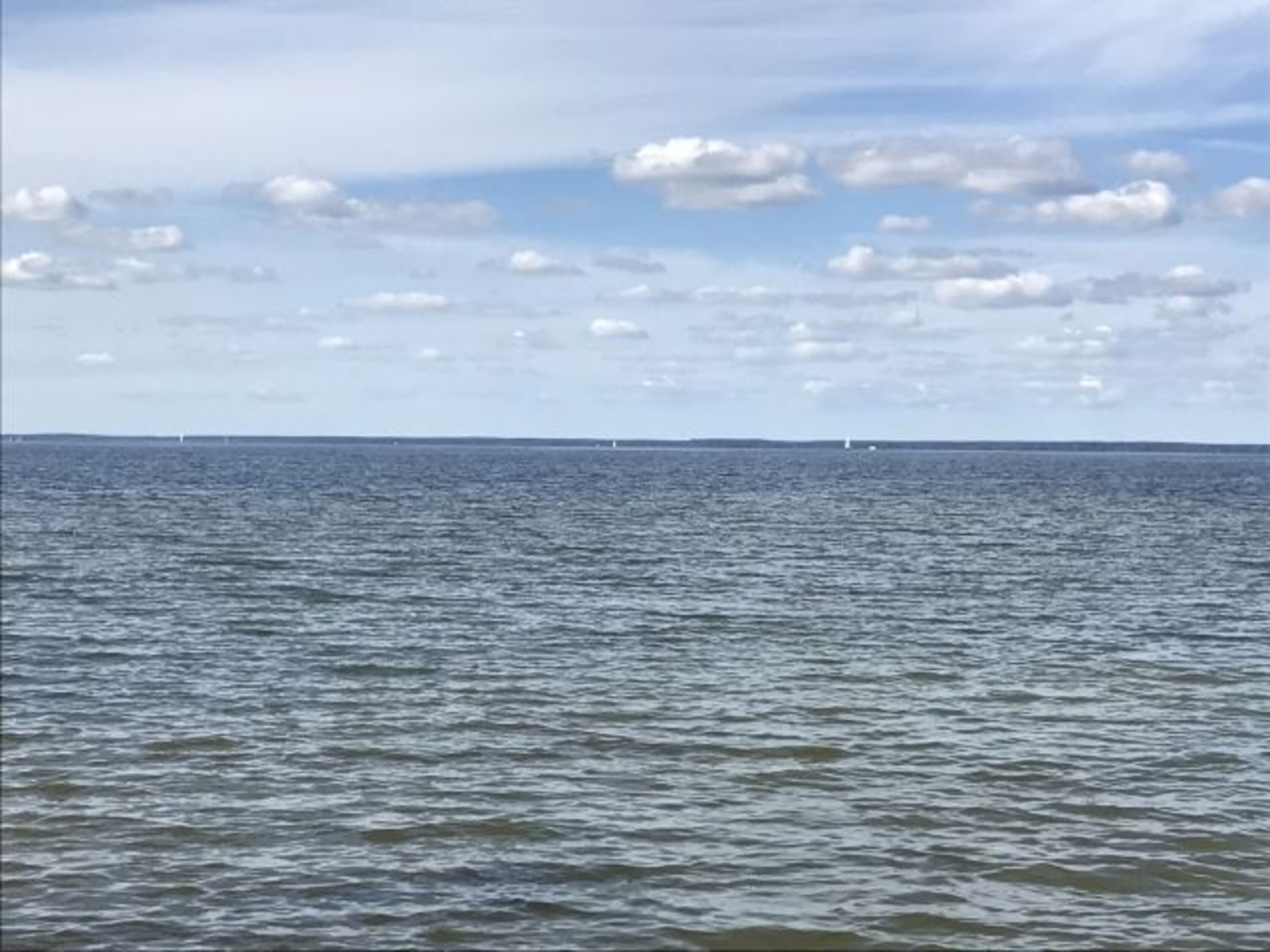 Müritz - Strand mit Hundebadestelle