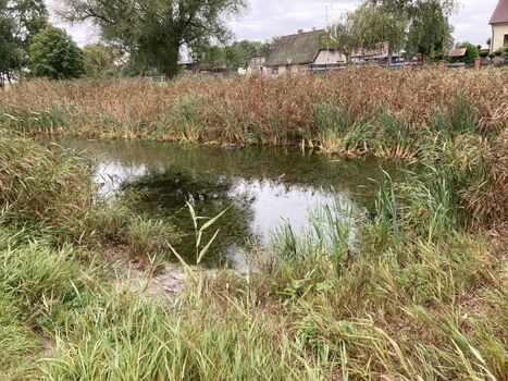 Der Teich vor dem Haus