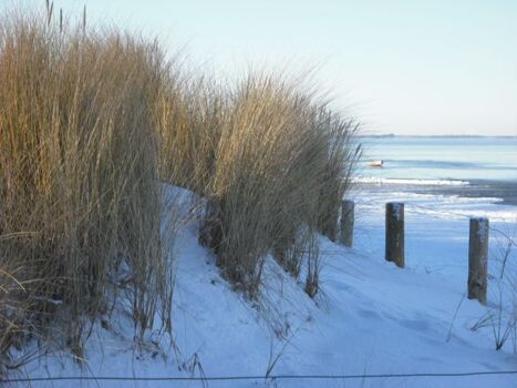 Winterstrand