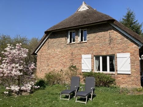 Liegestühle für Sie