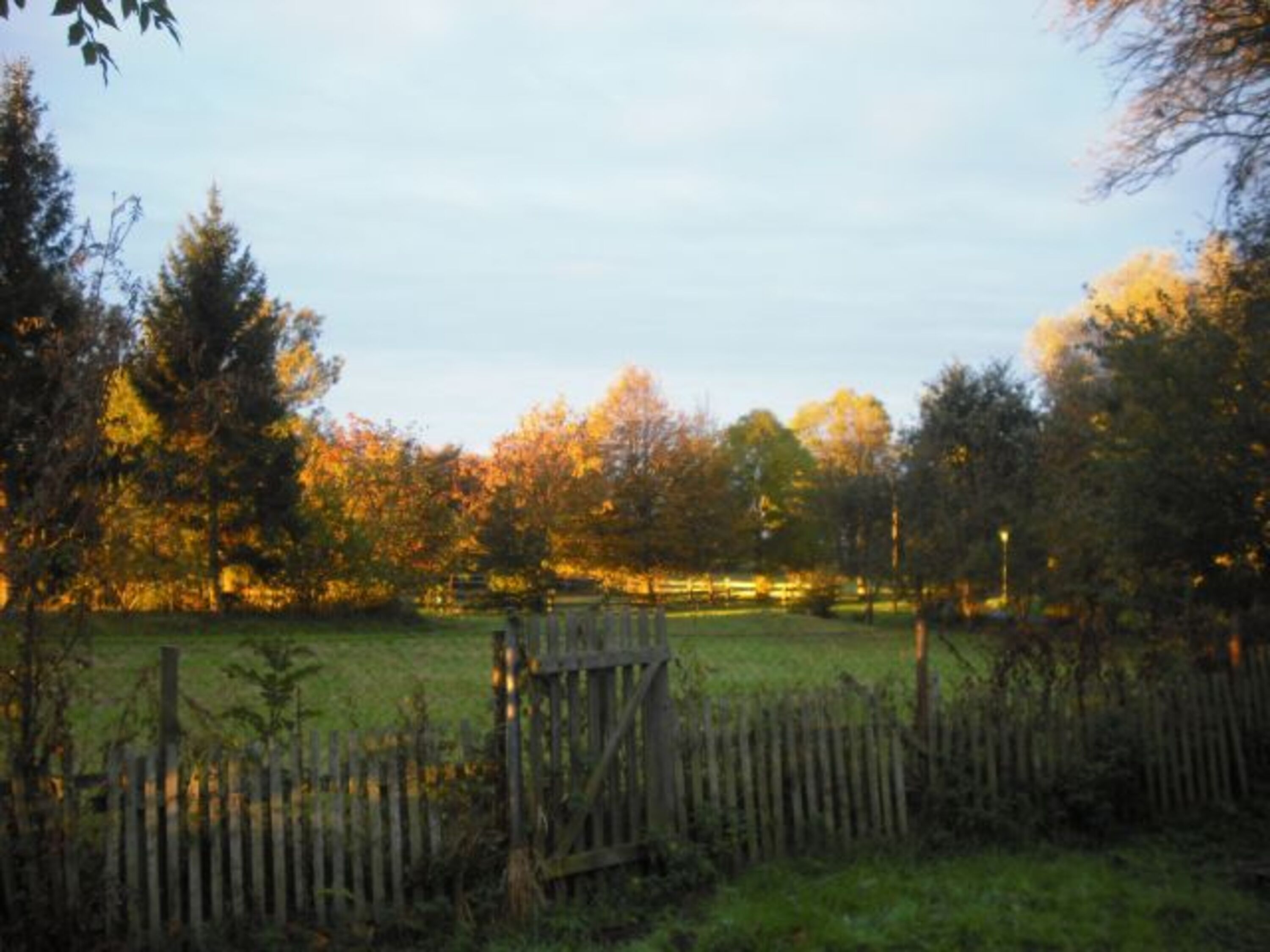In der Abendsonne