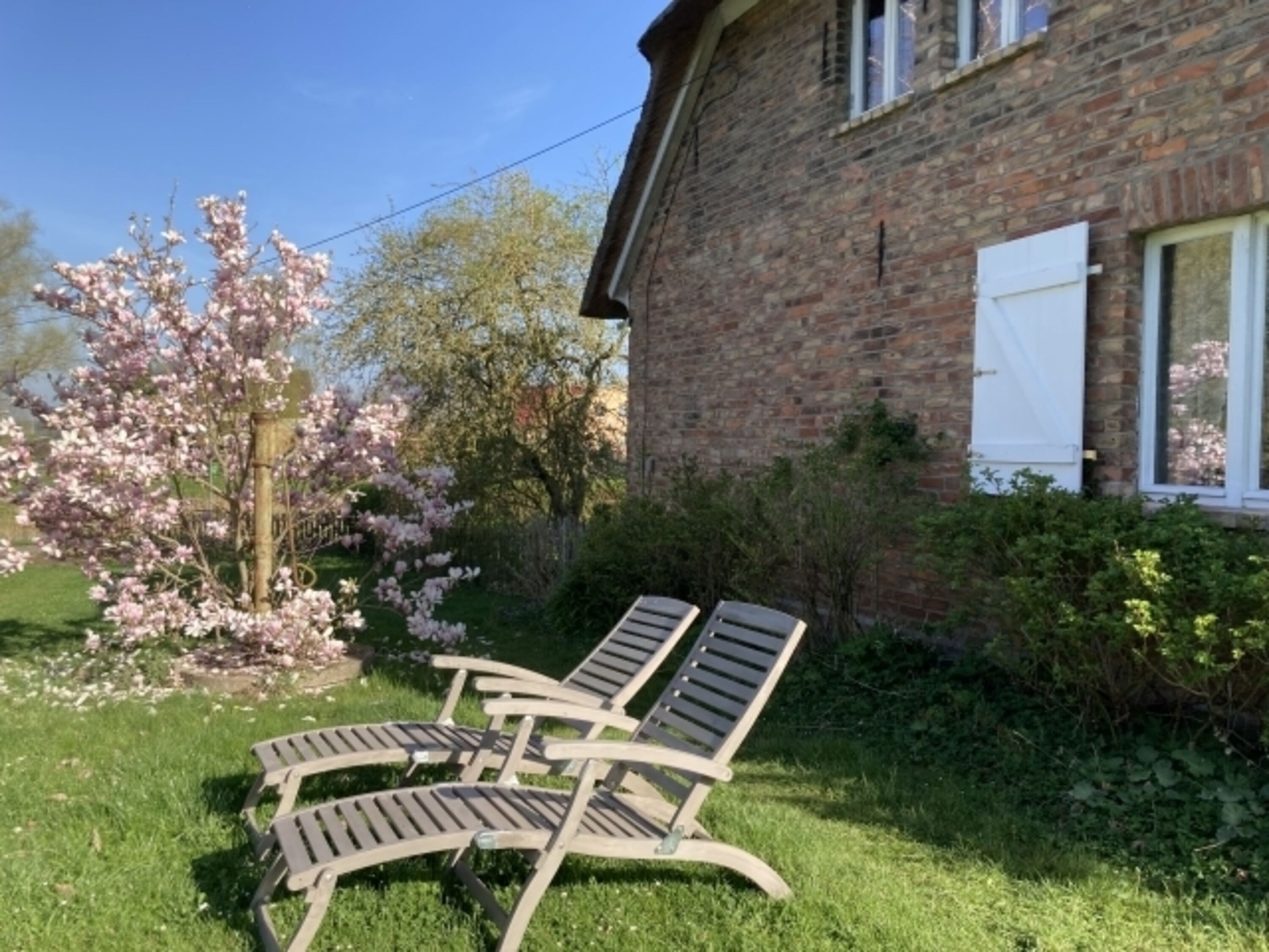 Sonnen im Garten