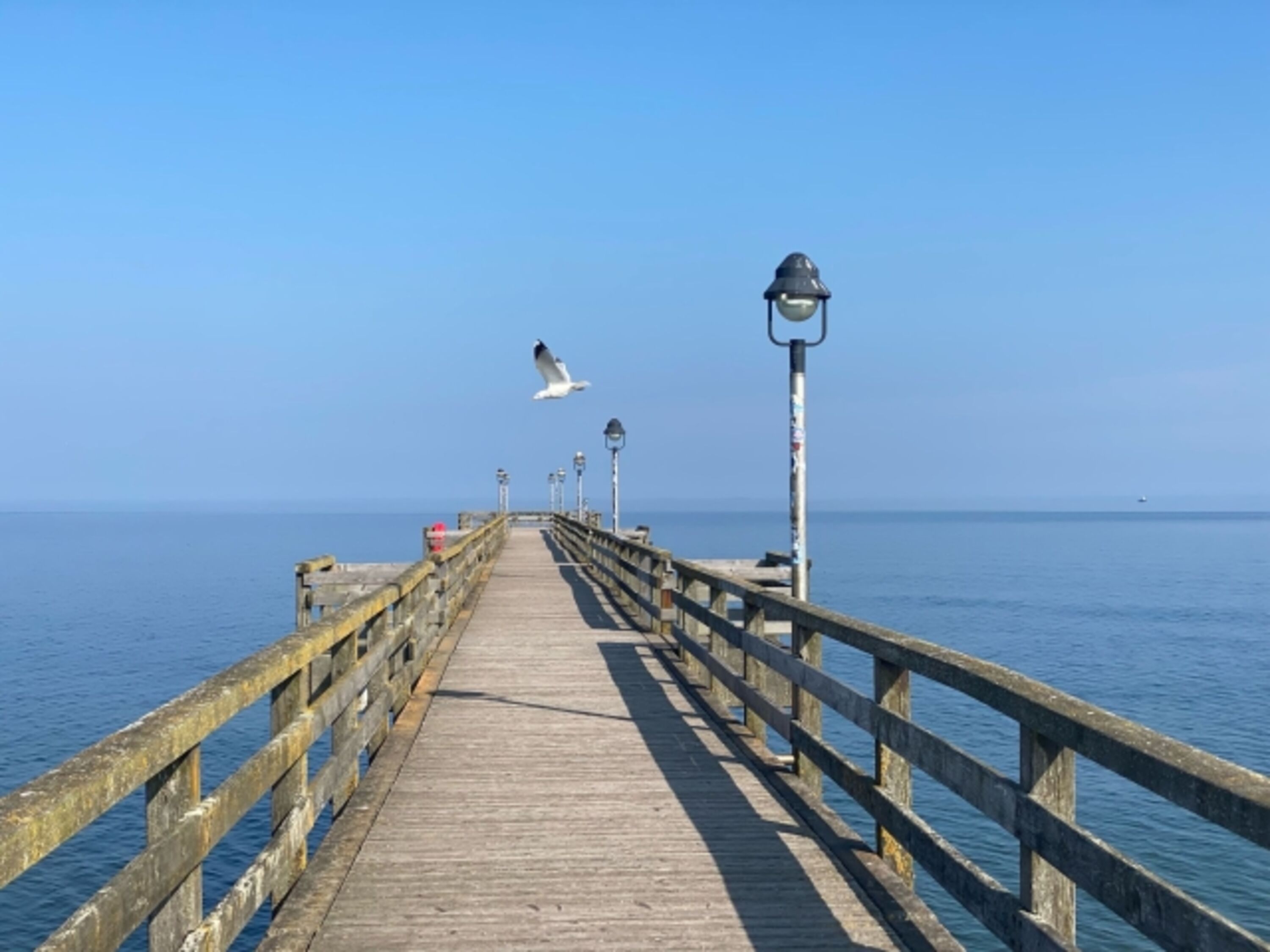 Die Seebrücke in Lubmin