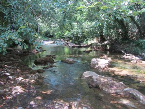 Badestelle am Fluss Merse