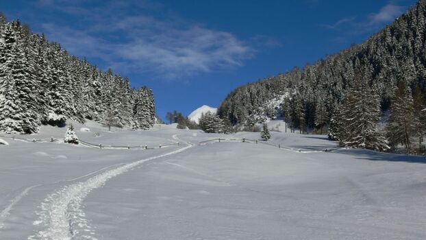 Winterwanderung  Avingatal