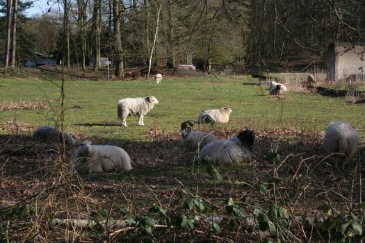 Umgebung  in unmittelbarer Nähe 