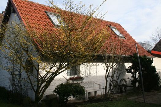 Ferienhaus Natalie am Steinhuder Meer