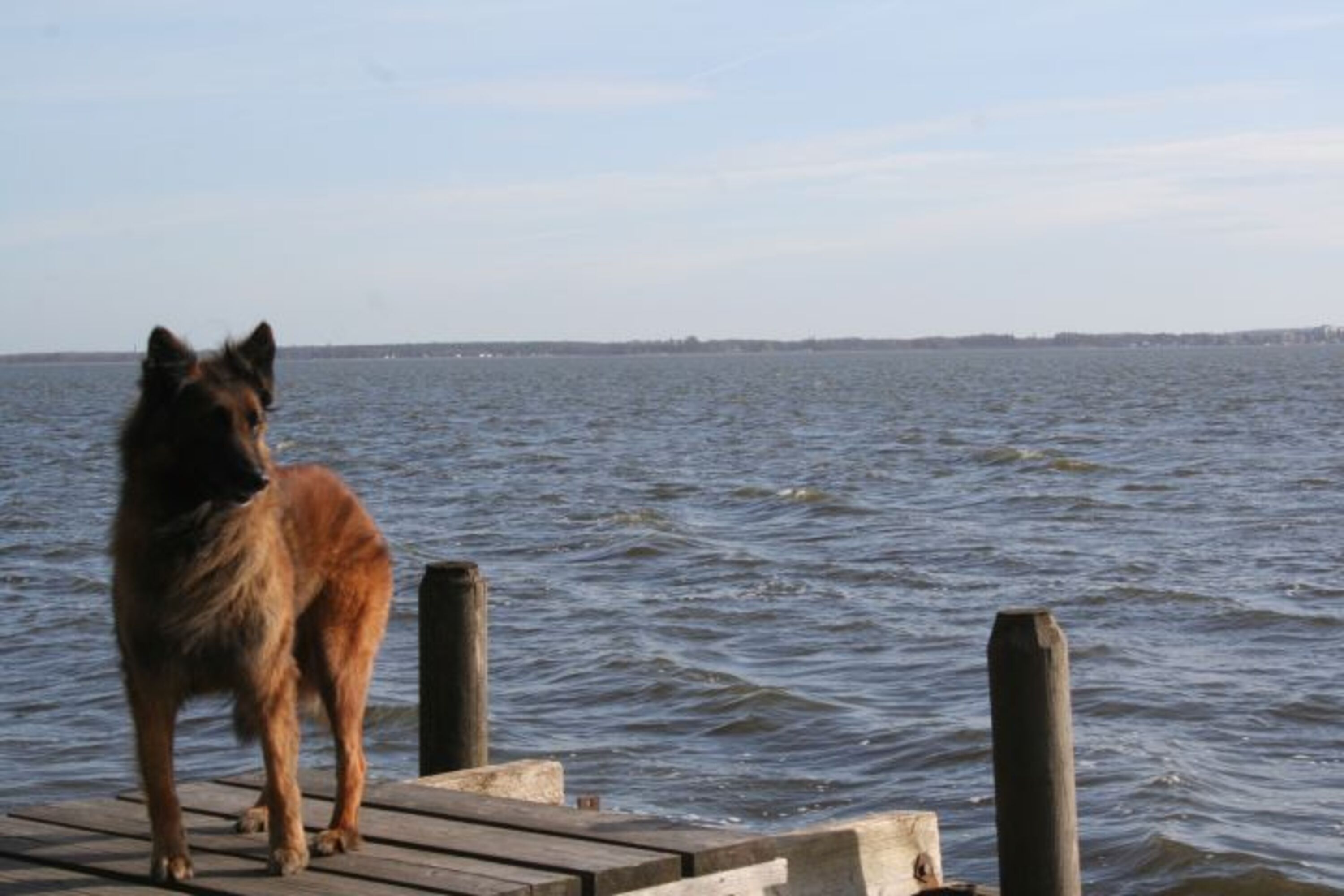 das Steinhuder Meer