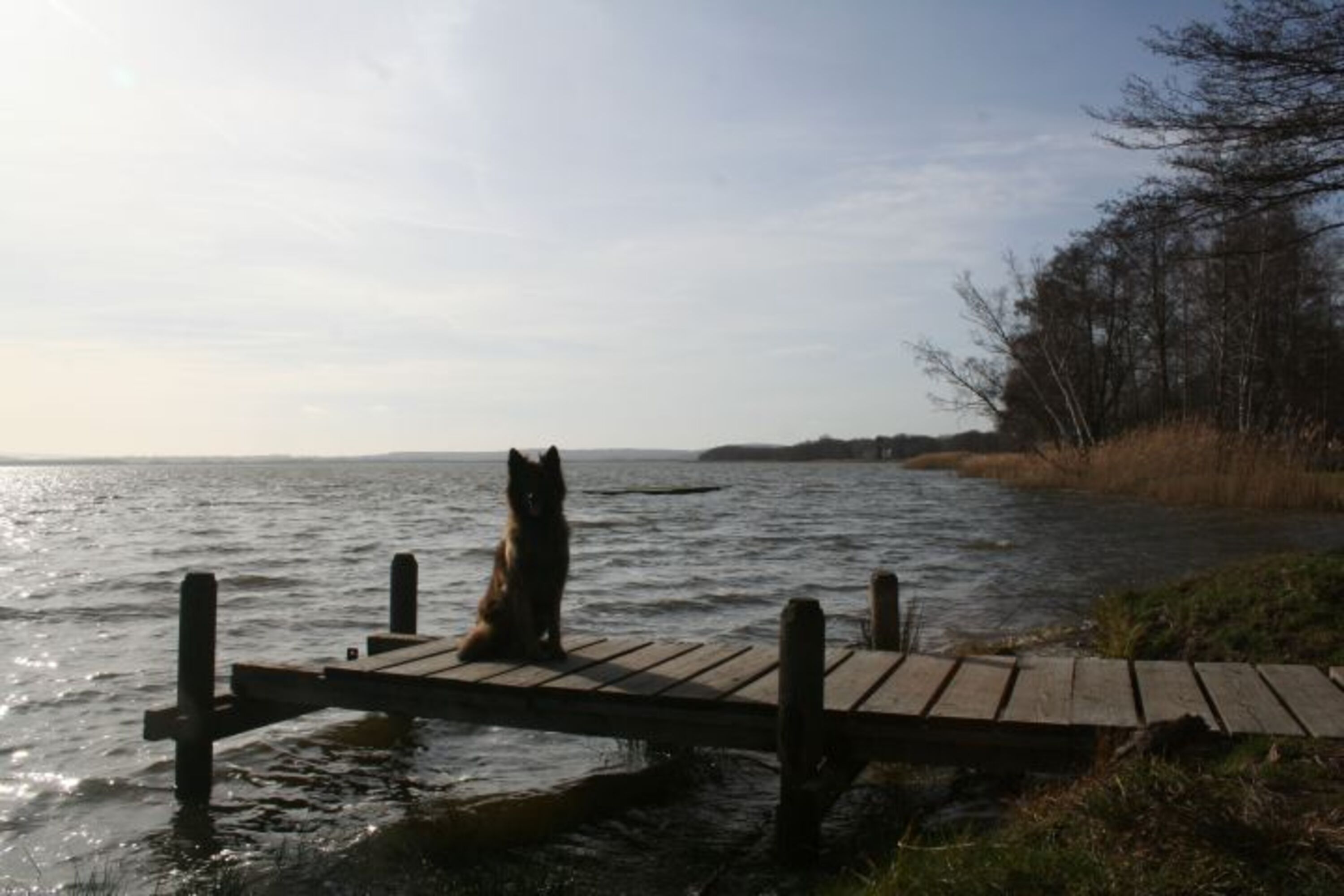 das Steinhuder Meer