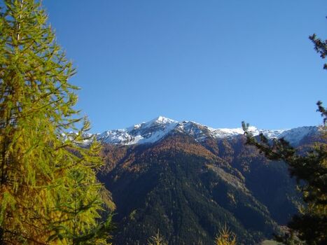 Chavalatsch im Herbstkleid