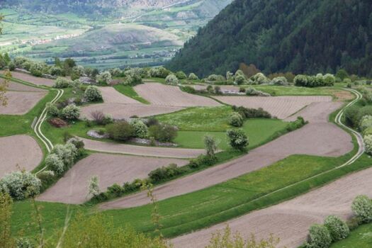 Einmalige  Faunalandschaft