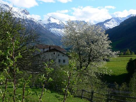 Frühling mit Blick nach Taufers