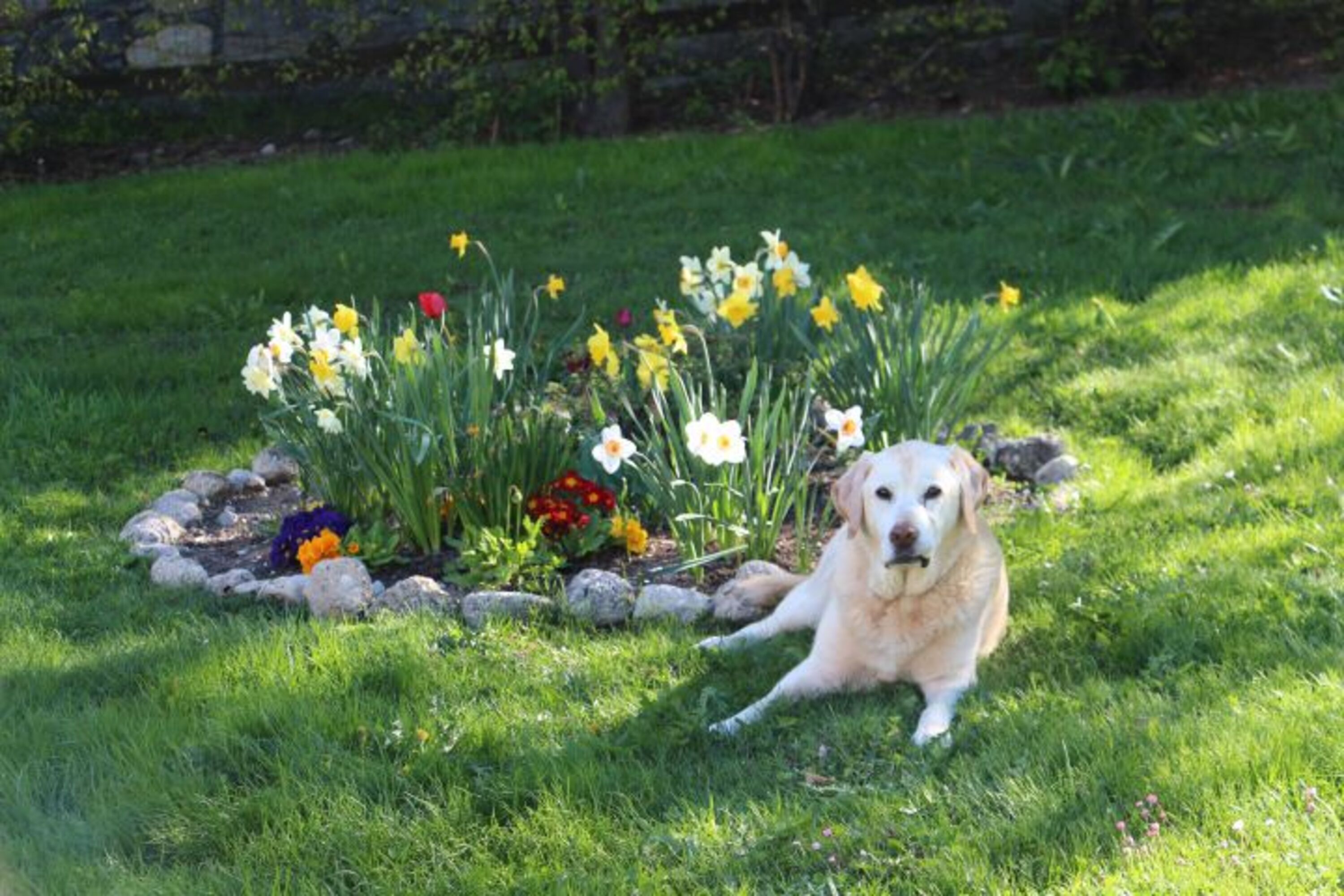 Unser lieber Sammy