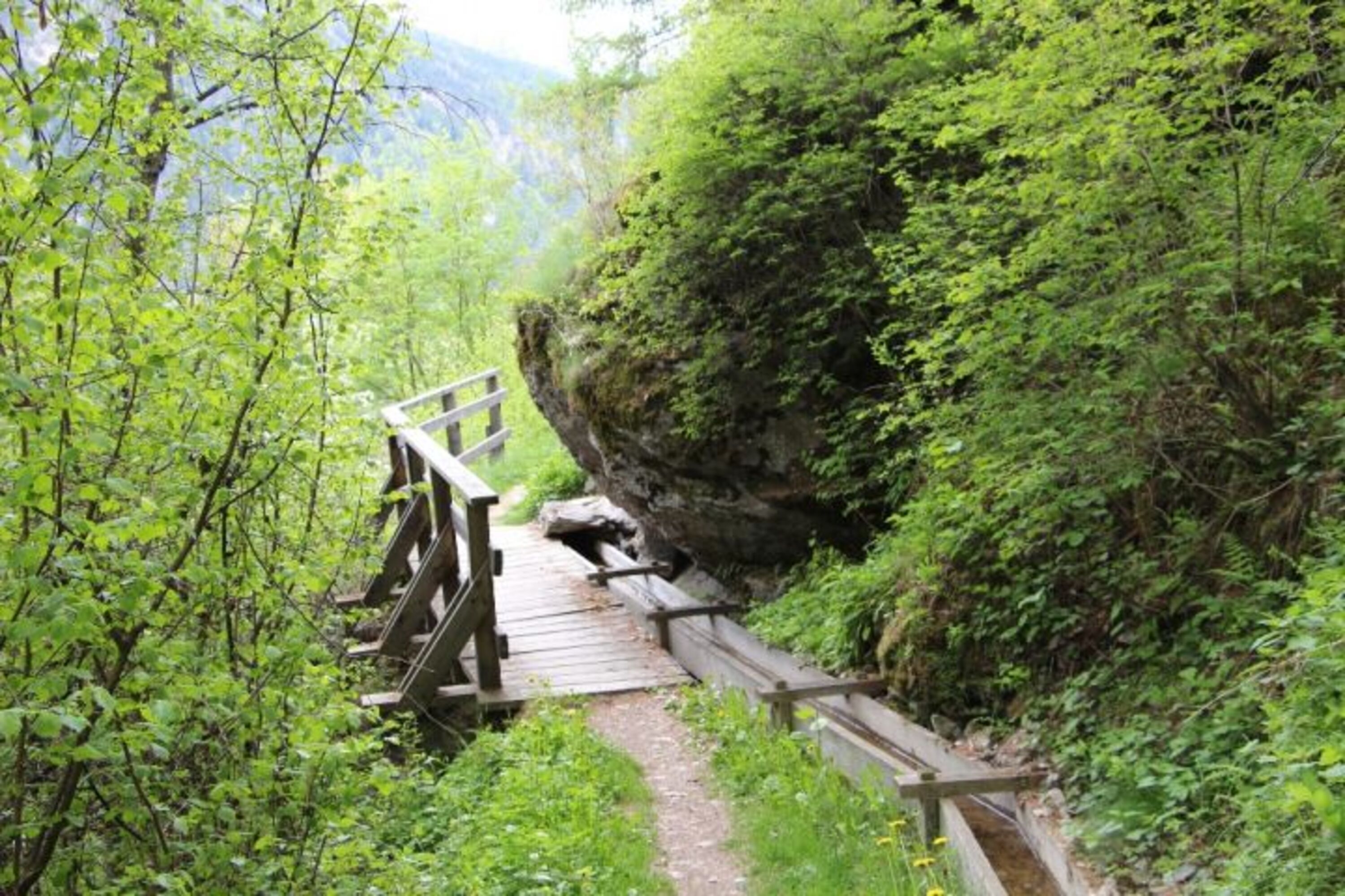 Herrlicher Waalwanderweg