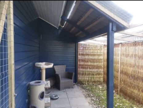 das Katzenfreigehege