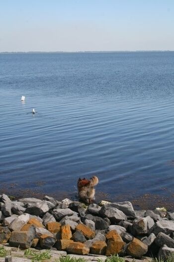 Wassersport aller Art möglich