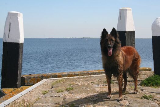 Ouddorp und Umgebung