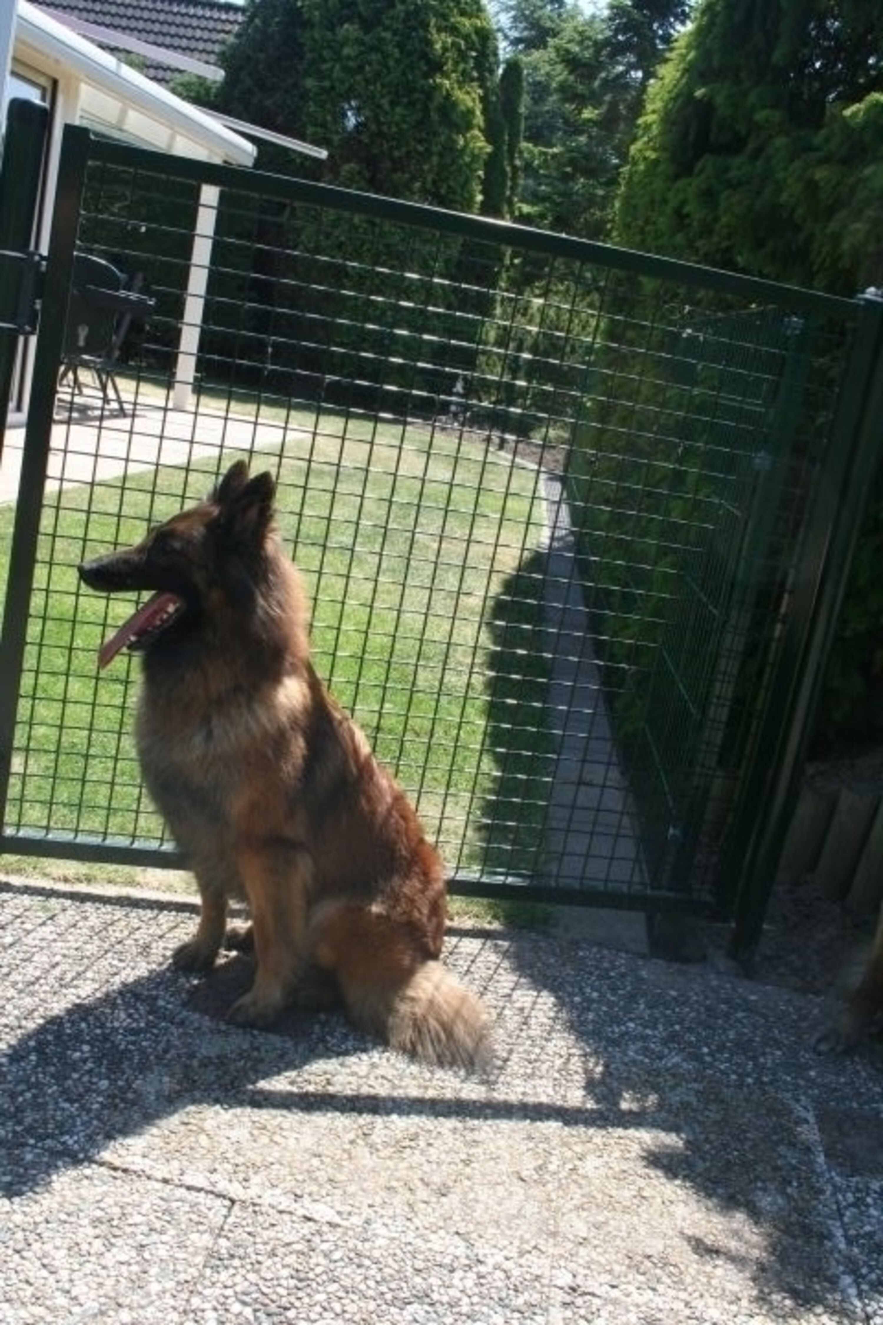 Hunde sind herzlich willkommen