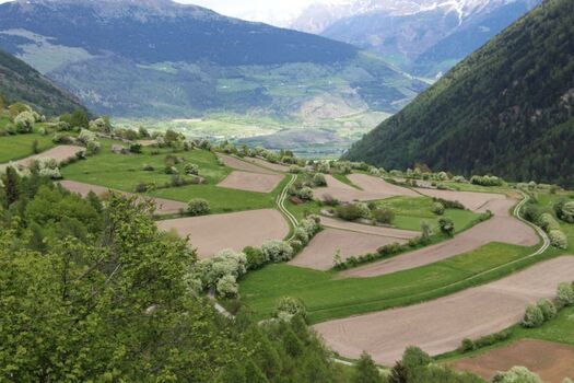 Einmalige  Faunalandschaft